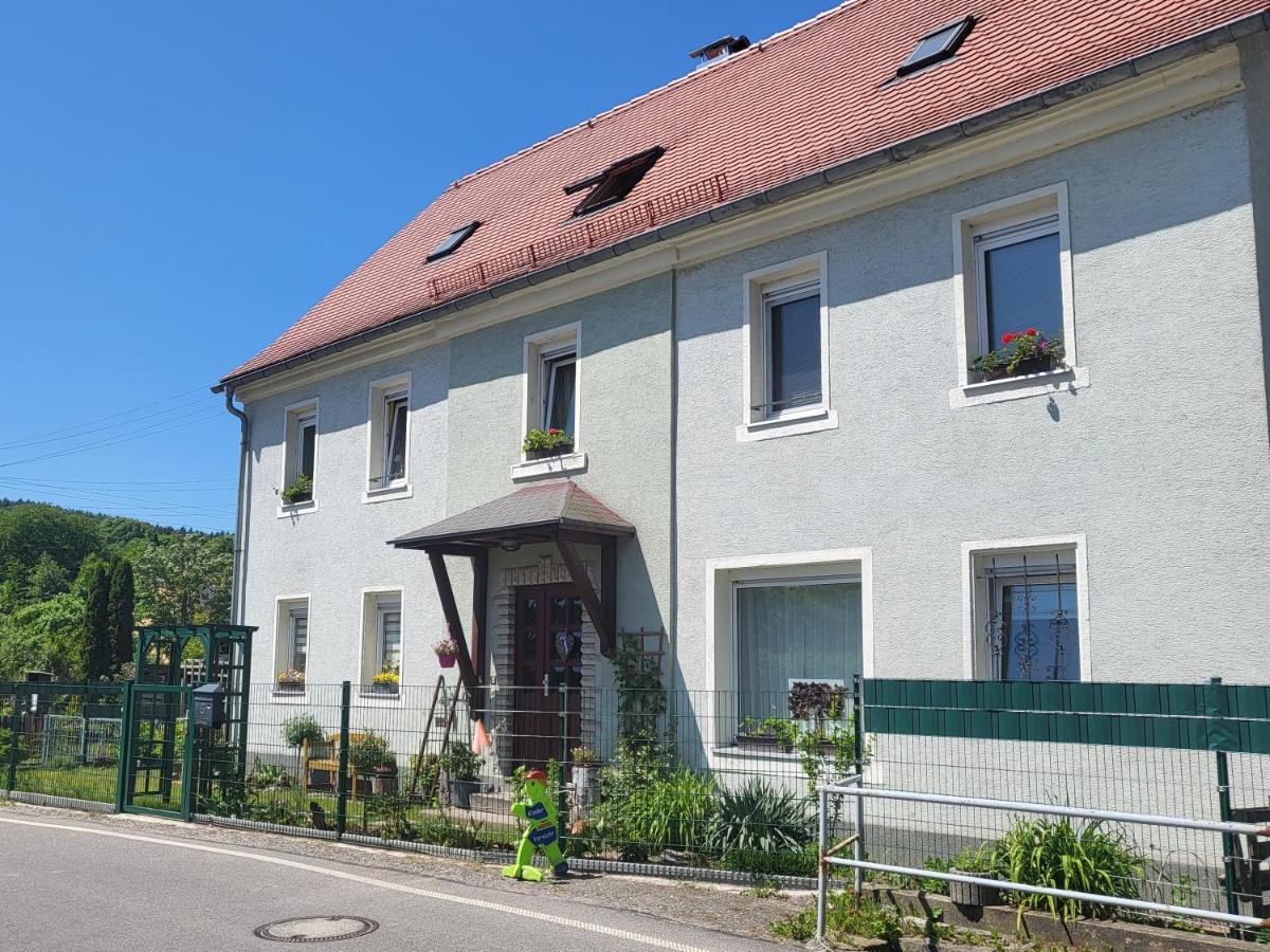 Ferienwohnung Simmert Kurort Gohrisch Luaran gambar